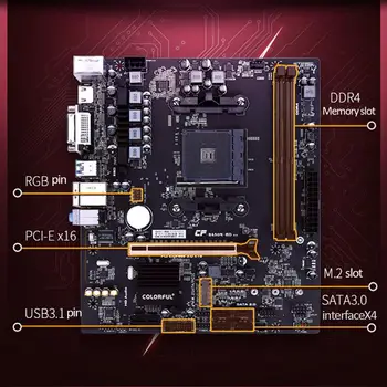 COLORATE TOPOR de LUPTĂ B450-HD V14 Suport pentru Placa de baza AMD AM4 RYZEN SATA3.0 6Gb/s HDMI-Interfață/M. 2/Micro ATX/DDR4
